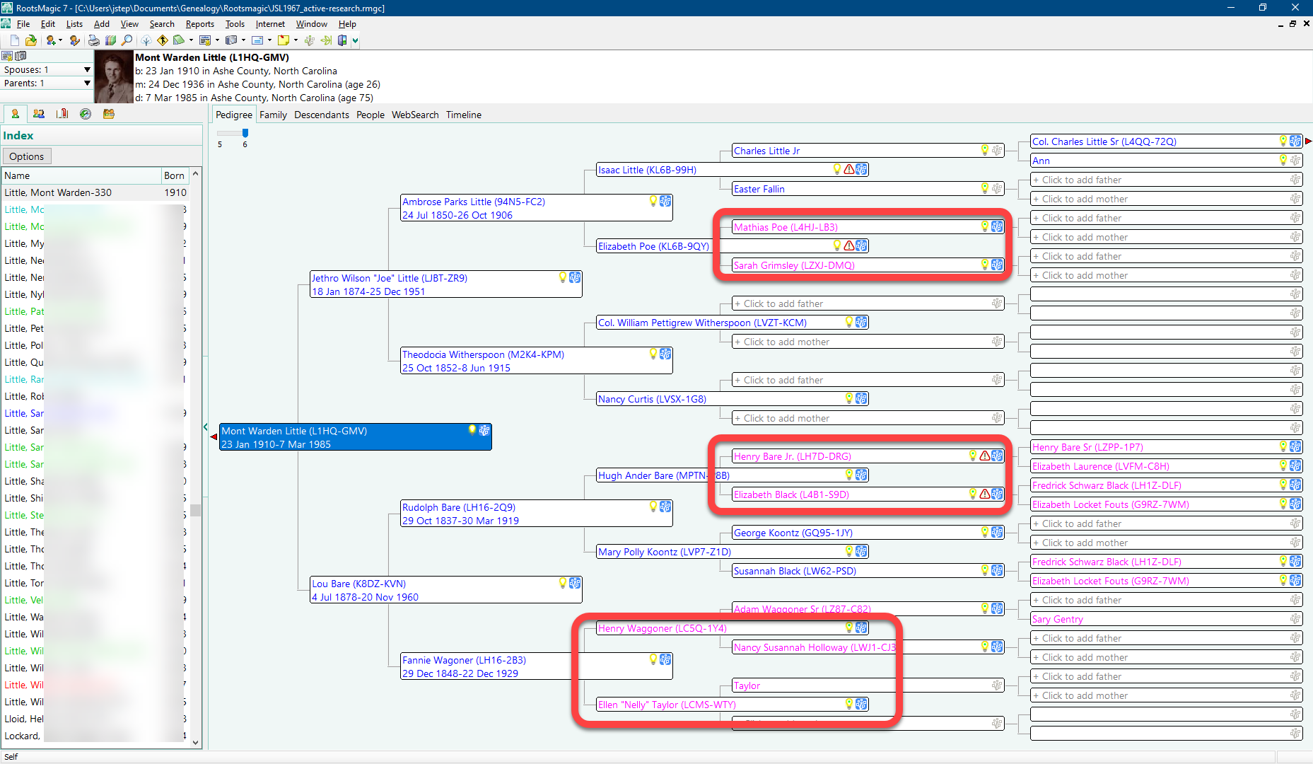 Reflection Journal: Week 1: Assess Your DNA Matches & Analyze Your ...